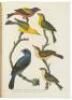 American Ornithology; or, The Natural History of the Birds of the United States
