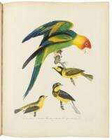 American Ornithology, or, The Natural History of the Birds of the United States. Plates engraved and colored from original drawings from nature