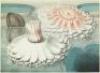 Chromolithograph from Victoria Regia; or The Great Water Lily of America - 2