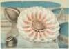 Chromolithograph from Victoria Regia; or The Great Water Lily of America - 2