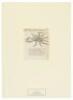 Tierb&uuml;cher aus f&uuml;nf Jahrhunderten, Sechzig originalgraphische Tafeln aus deutchen, franz&ouml;sischen, niederl&auml;ndischen, englischen, italienischen und schweizerischen Prachtwerken 1491-1966 - 11