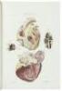 Atlante Generale della Anatomia Patologica del Corpo Umano - 5