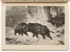 The Mail's Illustrated 1892 Almanac - 5