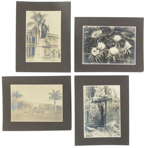 Eight Albumen Photographs of Hawaiian Volcanoes and Daily Life