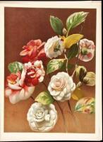 I Fiori di Primavera [and] Estate [and] Autunno [and] Inverno - four portfolios with chromolithographed flowers of the seasons