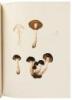 Icones Farlowianae: Illustrations of the Larger Fungi of Eastern North America - 4