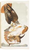 The Birds of America, The Bien Chromolithographic Edition