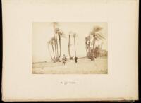 Photographies: Voyage en &Eacute;gypte 1891: Le Nil - Vol. IV