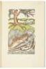 Numbers one through thirty-eight of The Ariel Poems - 7