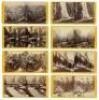 Thirty-two stereoviews of Yosemite - 2