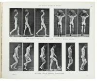 The Human Figure in Motion: An Electro-Photographic Investigation of Consecutive Phases of Muscular Action