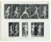 The Human Figure in Motion: An Electro-Photographic Investigation of Consecutive Phases of Muscular Action - 3