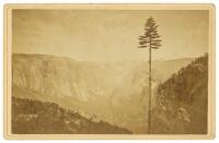 Best General View, from the Mariposa Trail, Yosemite Valley