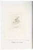 Noticias: The Life and Art of Edward Borein 1872-1945 (cover title) - 5
