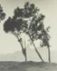 Westward view of San Francisco from Pioneer Park, Telegraph Hill - 3