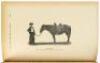 The Trail Drivers of Texas: Interesting Sketches of Early Cowboys and Their Experiences on the Range and on the Trail During the Days that Tried Men's Souls - True Narratives Related by Real Cow-Punchers and Men who Fathered the Cattle Industry in Texas - 3