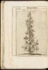 Exactissima Descriptio Rariorum Quarundam Plantarum, Que Continentur Rome in Horto Farnesiano