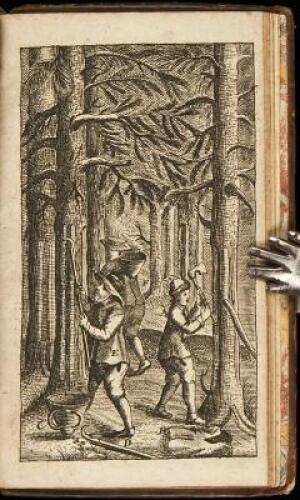 Tractatus de Arboribus Coniferis et Pice Conficienda