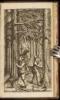 Tractatus de Arboribus Coniferis et Pice Conficienda