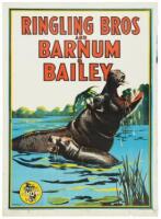 Ringling Bros Barnum & Bailey: The Greatest Show on Earth - hippopotamus