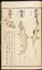 Suisan Zukai - 6