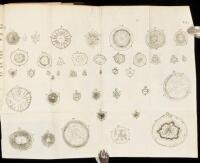 An Idea of a Phytological History Propounded. Together With a Continuation of the Anatomy of Vegetables, Particularly Prosecuted Upon Roots. An an Account of the Vegetation of Roots Grounded Chiefly Thereupon