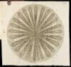 An Idea of a Phytological History Propounded. Together With a Continuation of the Anatomy of Vegetables, Particularly Prosecuted Upon Roots. An an Account of the Vegetation of Roots Grounded Chiefly Thereupon - 5