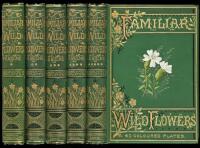 Familiar Wild Flowers