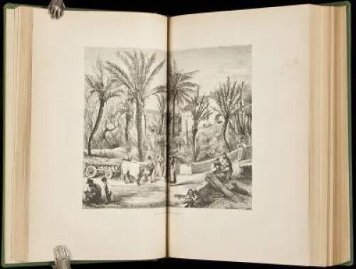 Les Palmiers Histoire Iconographique