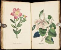 Viridarium: Coloured Plates of Greenhouse Plants, with the Linnean Names, and with Concise Rules for Their Culture