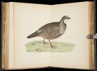 British Game Birds and Wildfowl