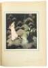 Edmund Dulac's Fairy-Book. Fairy Tales of the Allied Nations - 4