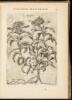 Specimen Historiae Plantarum - 2