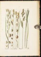 Histoire de Carex ou Laiches Contenant la Description et les Figures Coloriees de Toutes les Especes Connues et d'un Grand Nombre d'Especes Nouvelles