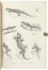The Reptiles of British India - 2