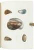 Zoology of New-York, or New-York Fauna...Part V. Mollusca - 2