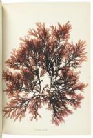 Beautiful Seaweeds Illustrated by Natural Specimens. Also, Instructions for the formation of a Herbarium of Marine Algae, and a complete list of the British species