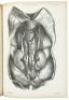 A Series of Anatomical Plates; with References and Physiological Comments, Illustrating the Structure of the Different Parts of the Human Body. - 4