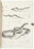 The Reptiles of British India - 6