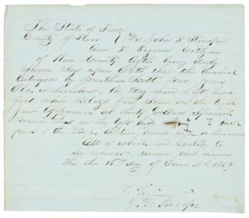 Sworn statement that a horse &ldquo;estrayed&rdquo; by another man, was their property, &ldquo;appraised at thirty dollars Spanish&rdquo;, describing the animal in detail, including a simple drawing of the brand on the Bay mare&rsquo;s right hip.