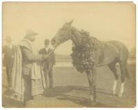 Large original photograph of a thoroughbred racehorse with a large wreath around his neck, identified as Man O' War, being tended by an African American groom, undoubtedly Will Harbut, with two white men in suits observing