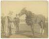 Large original photograph of a thoroughbred racehorse with a large wreath around his neck, identified as Man O' War, being tended by an African American groom, undoubtedly Will Harbut, with two white men in suits observing