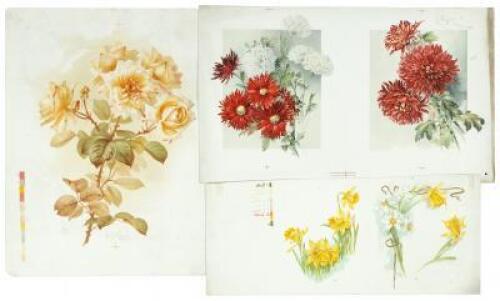 Three horticultural chromolithographs by L. Prang & Co.