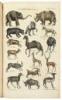 General Natural History: Or, New and Accurate Descriptions of the Animals, Vegetables, and Minerals, Of the Different Parts of the World... - 6