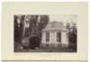 The Big Trees of California: Their History and Characteristics - 3