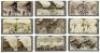 The Grand Ca&ntilde;on of Arizona Through the Stereoscope - 3