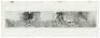 Report of the Committee of Five to the "Thirty-Five Companies" on the San Francisco Conflagration. April 18-21, 1906 - 4