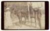 Archive of photographs relating to the Villa Fontenay winery in the Santa Cruz mountains and the proprietors Henry and Nellie Mel and their family - 8