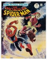 SPECTACULAR SPIDER-MAN No. 2