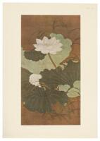 Portfolio of Chinese Paintings in the Museum [of Fine Arts, Boston] (Yuan to Ch'ing Periods)